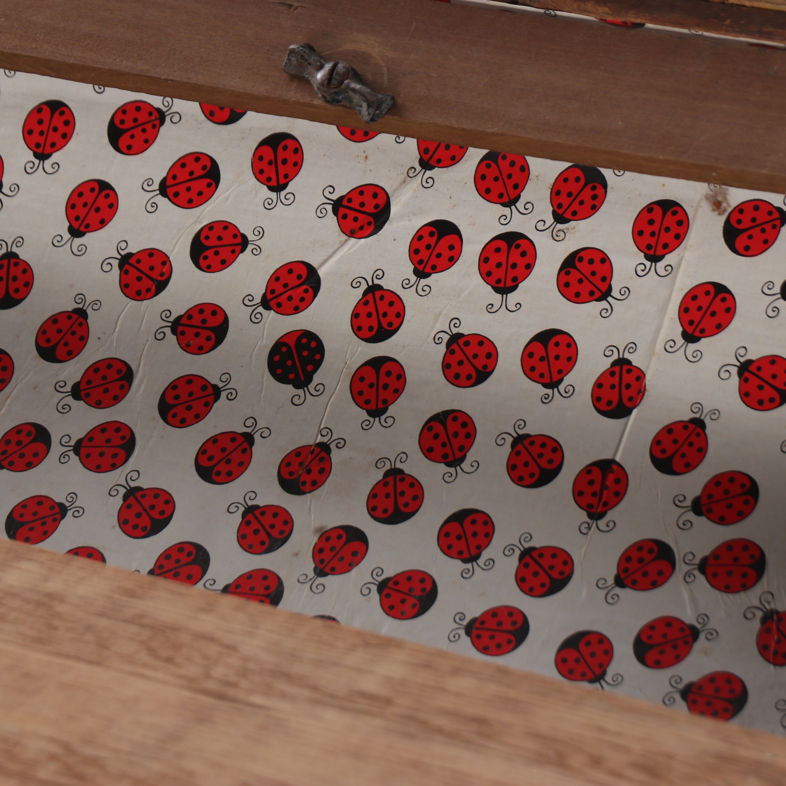 Rustic Domed Wooden Chest on Casters