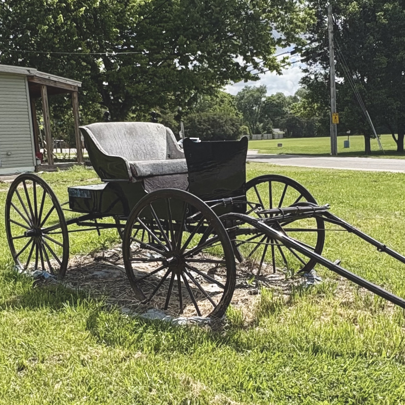 Miller & Yoder Phaeton Horse-Drawn Surrey Carriage