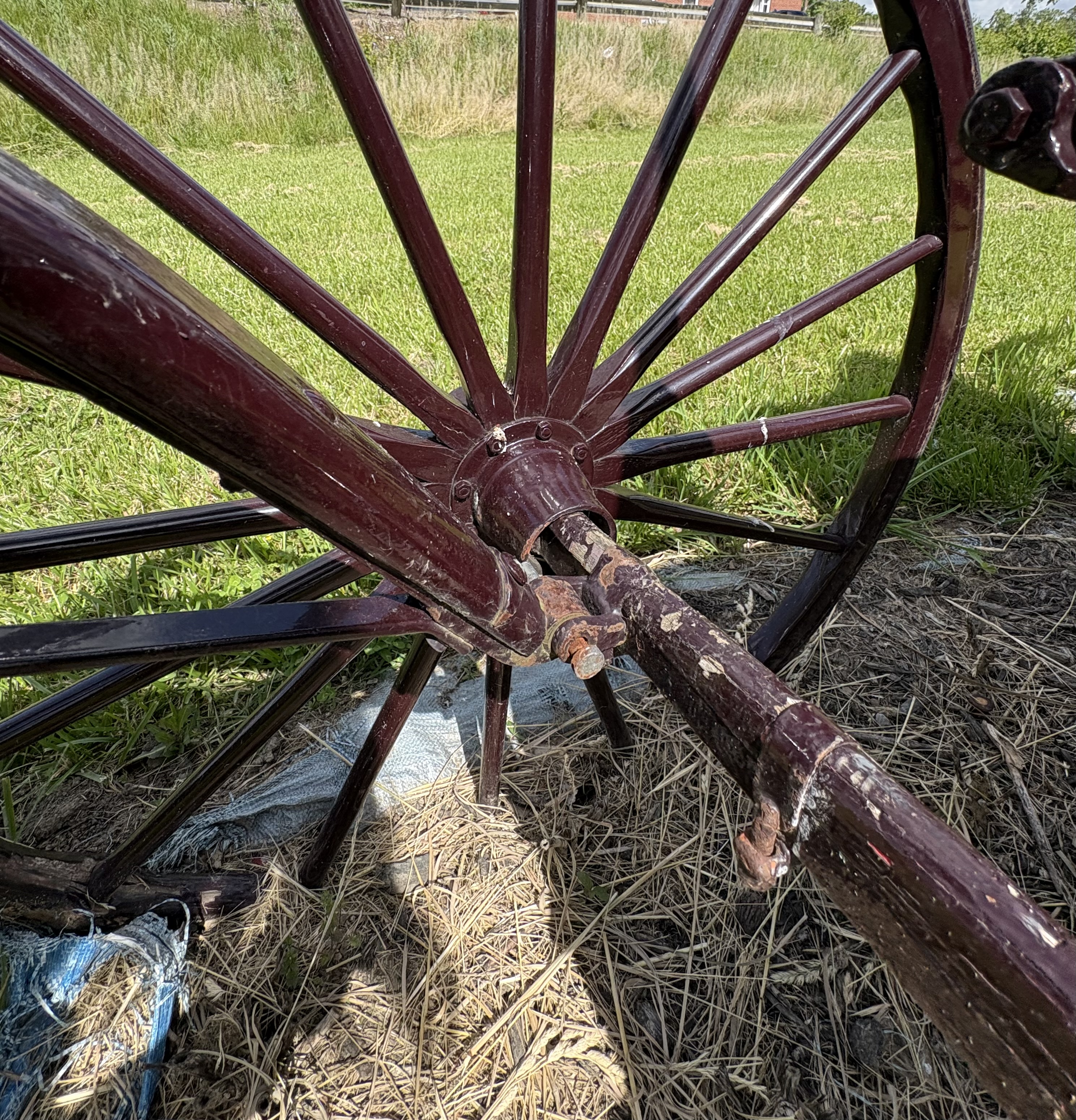 Miller & Yoder Phaeton Horse-Drawn Surrey Carriage
