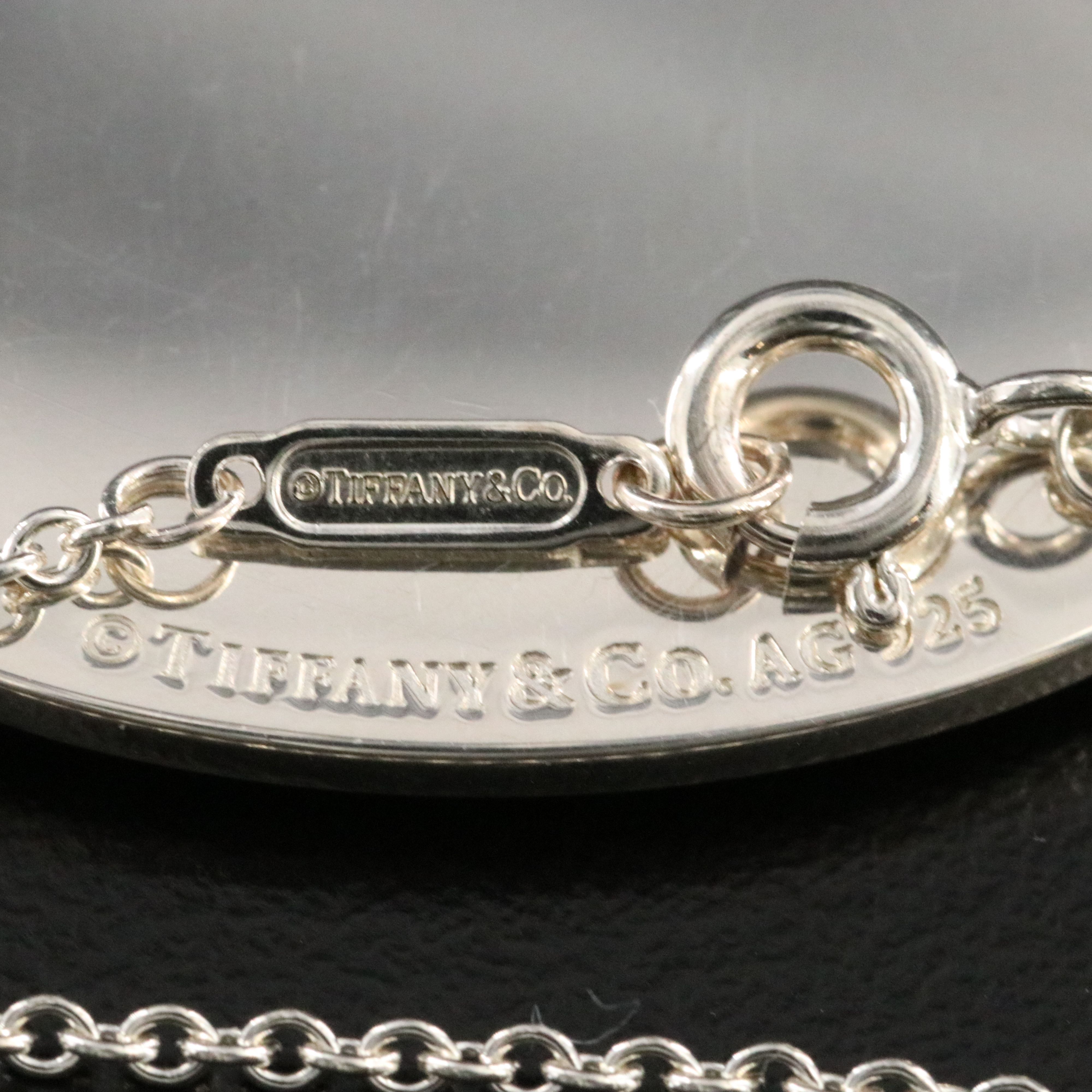 Tiffany & Co. Sterling Enamel Oval Splash Pendant Necklace