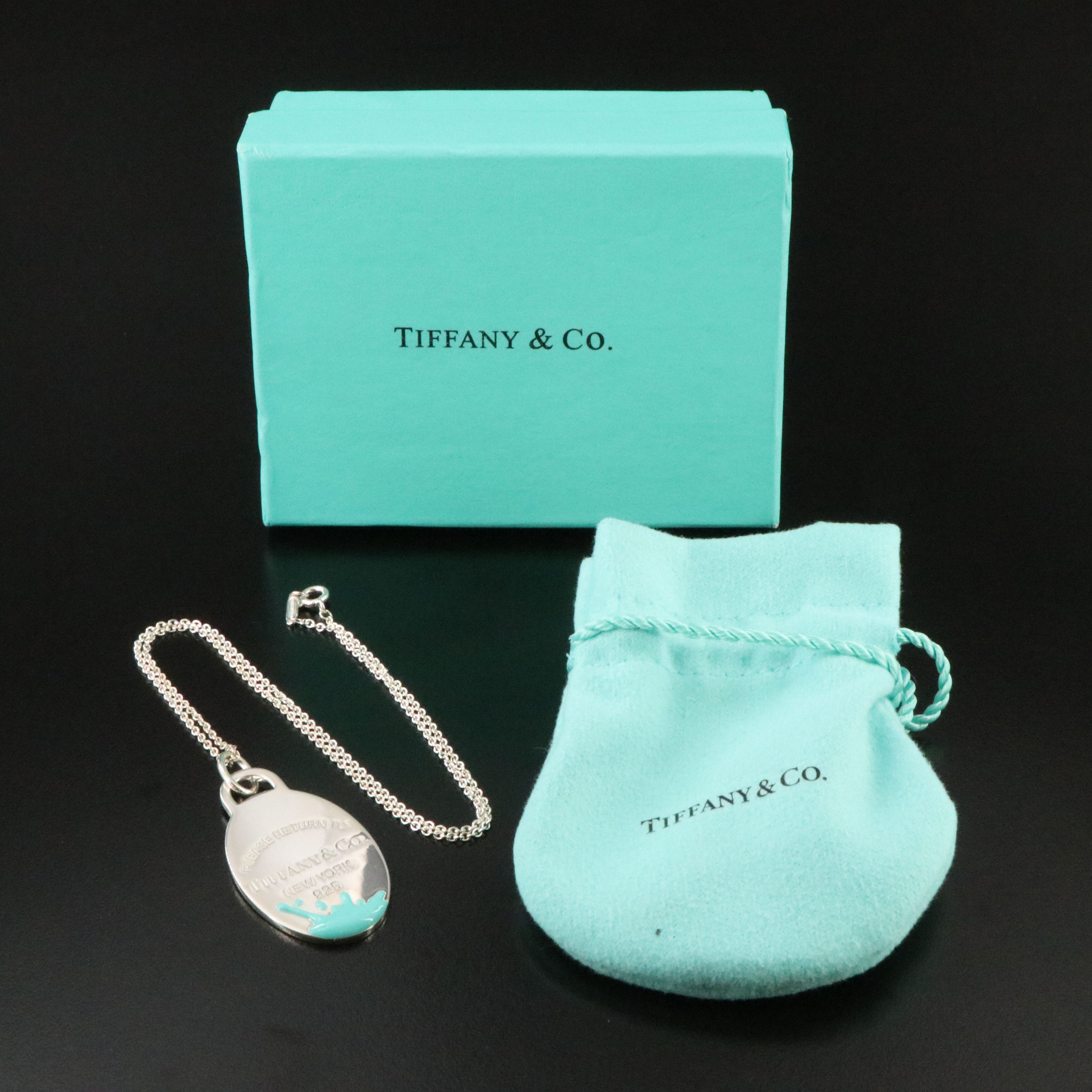 Tiffany & Co. Sterling Enamel Oval Splash Pendant Necklace