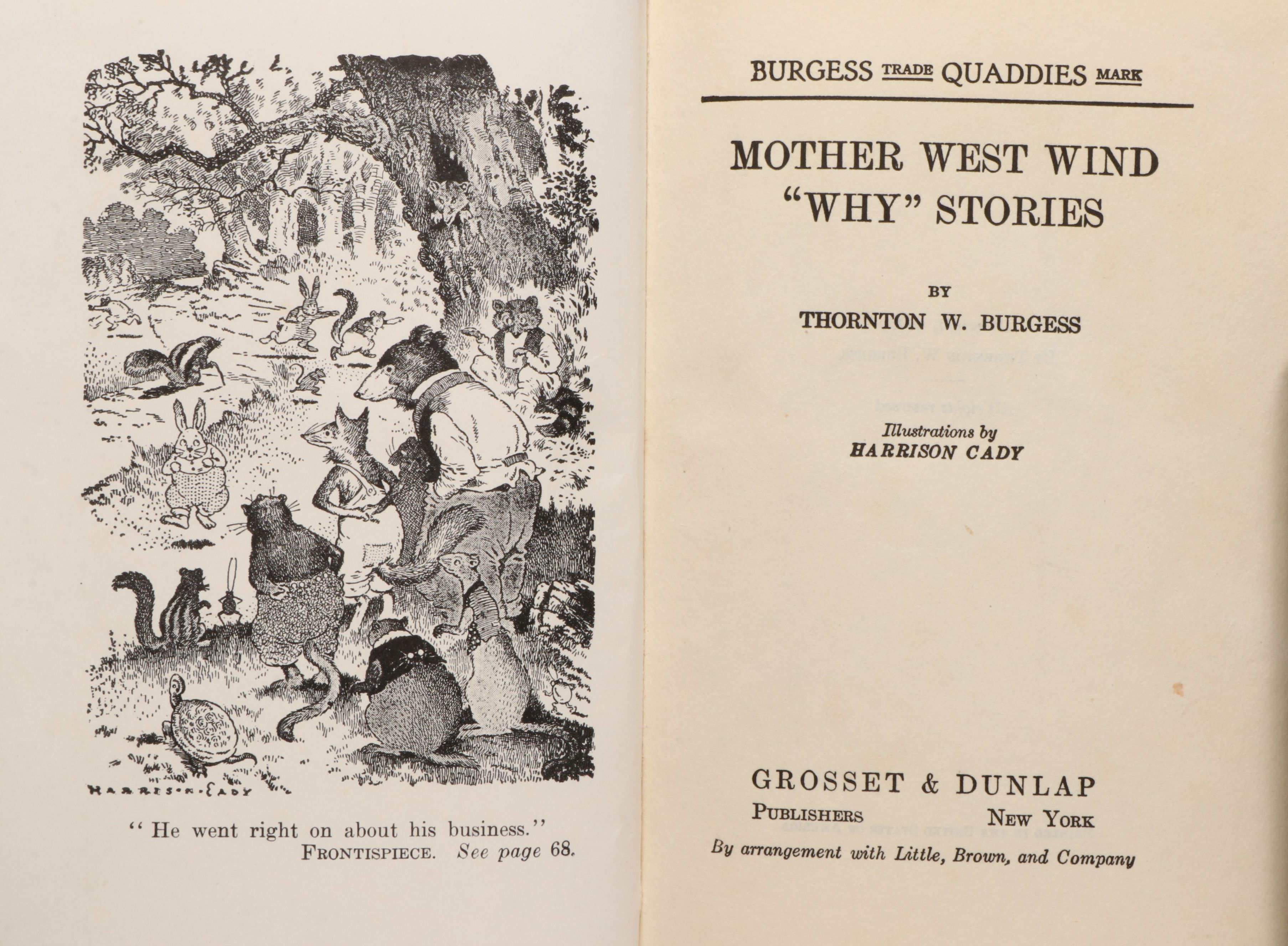 "Tom Swift" by Victor Appleton, "Mother West Wind" by Thornton W. Burgess, 1910s