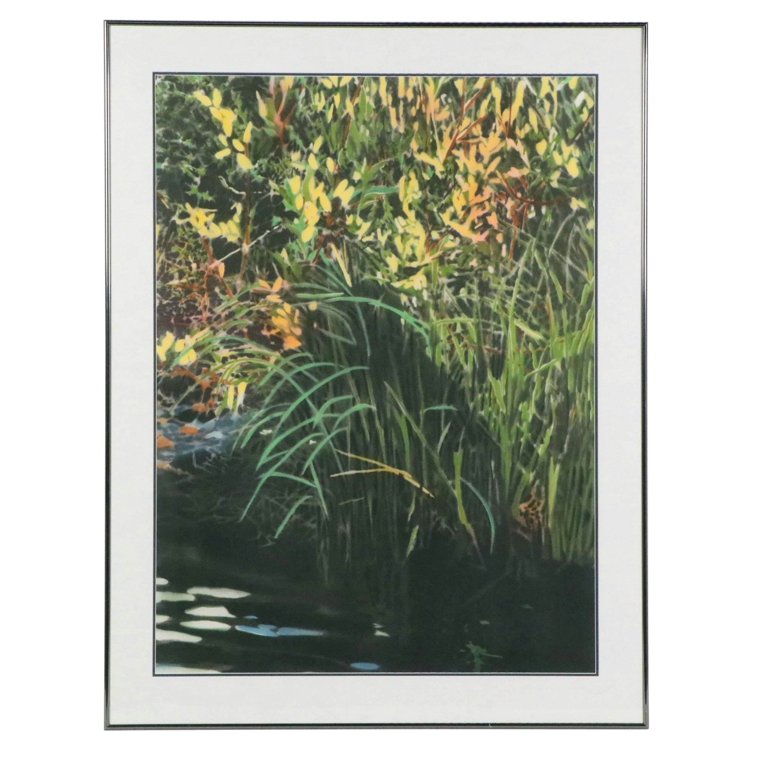 David Kessler Pochoir of Aquatic Landscape "Patterned Cove"
