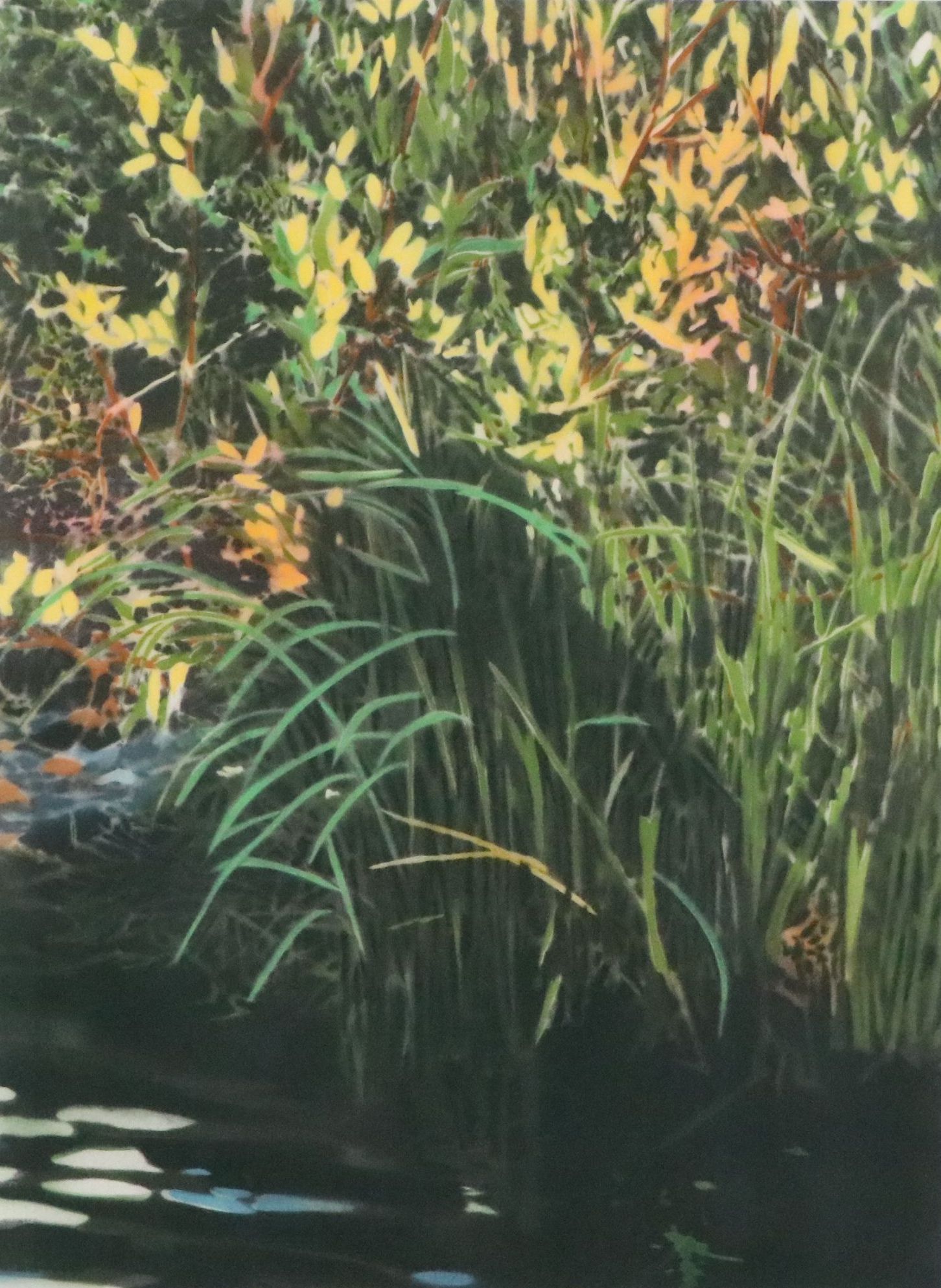 David Kessler Pochoir of Aquatic Landscape "Patterned Cove"