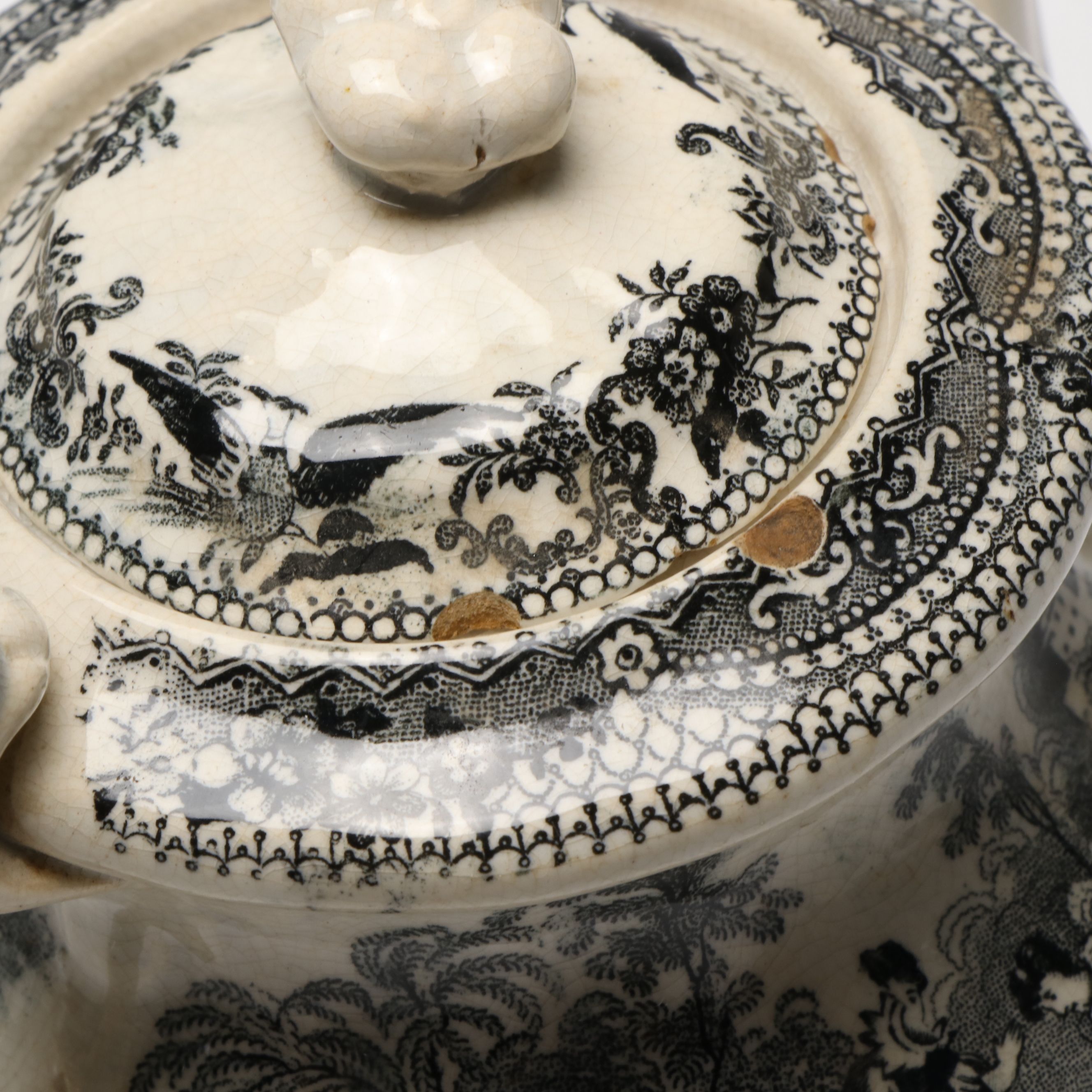 Spode Archive Collection Plates with 19th Century English Black Transferware