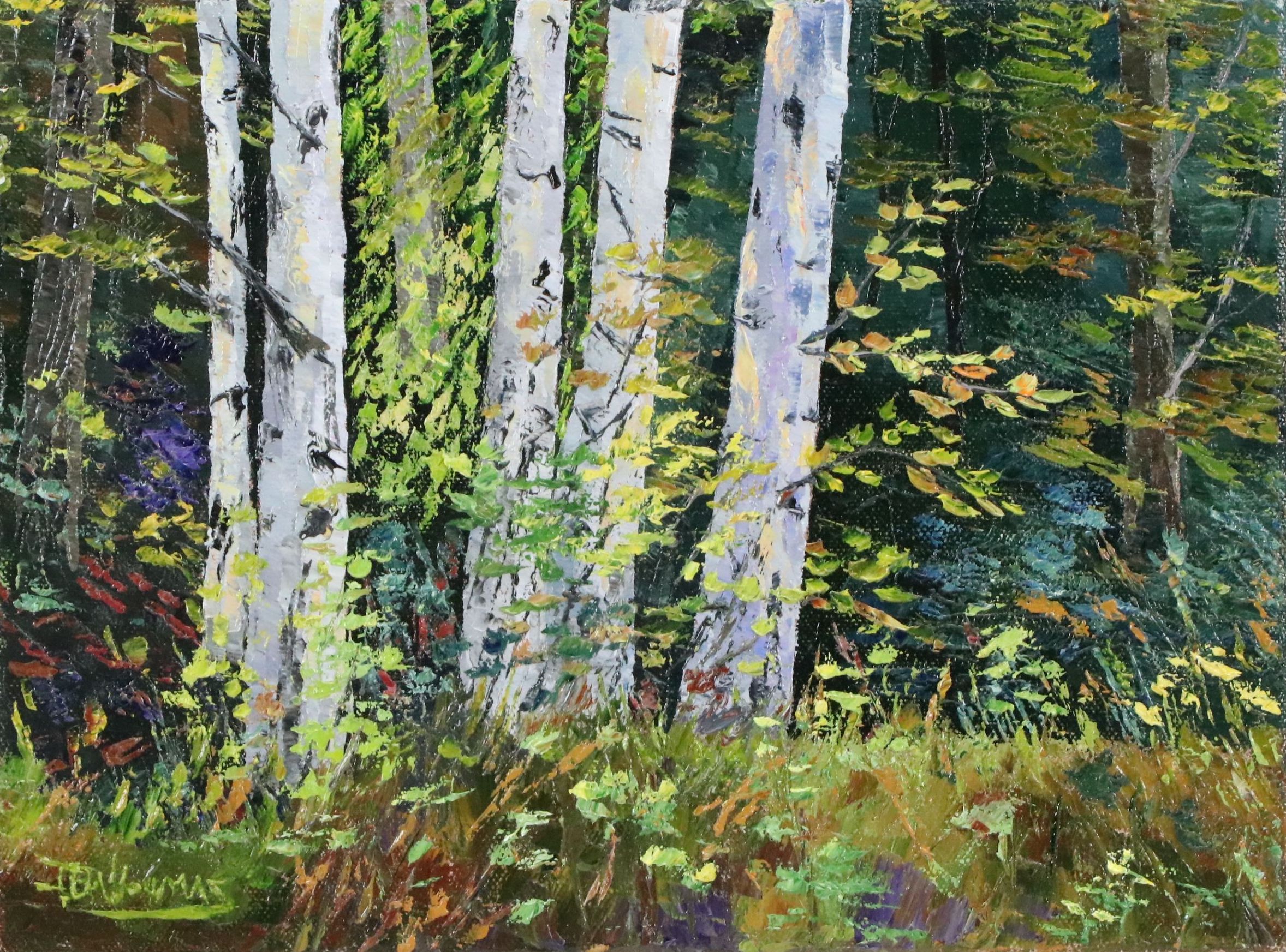 James Baldoumas Landscape Oil Painting "Birch Forest," 2026