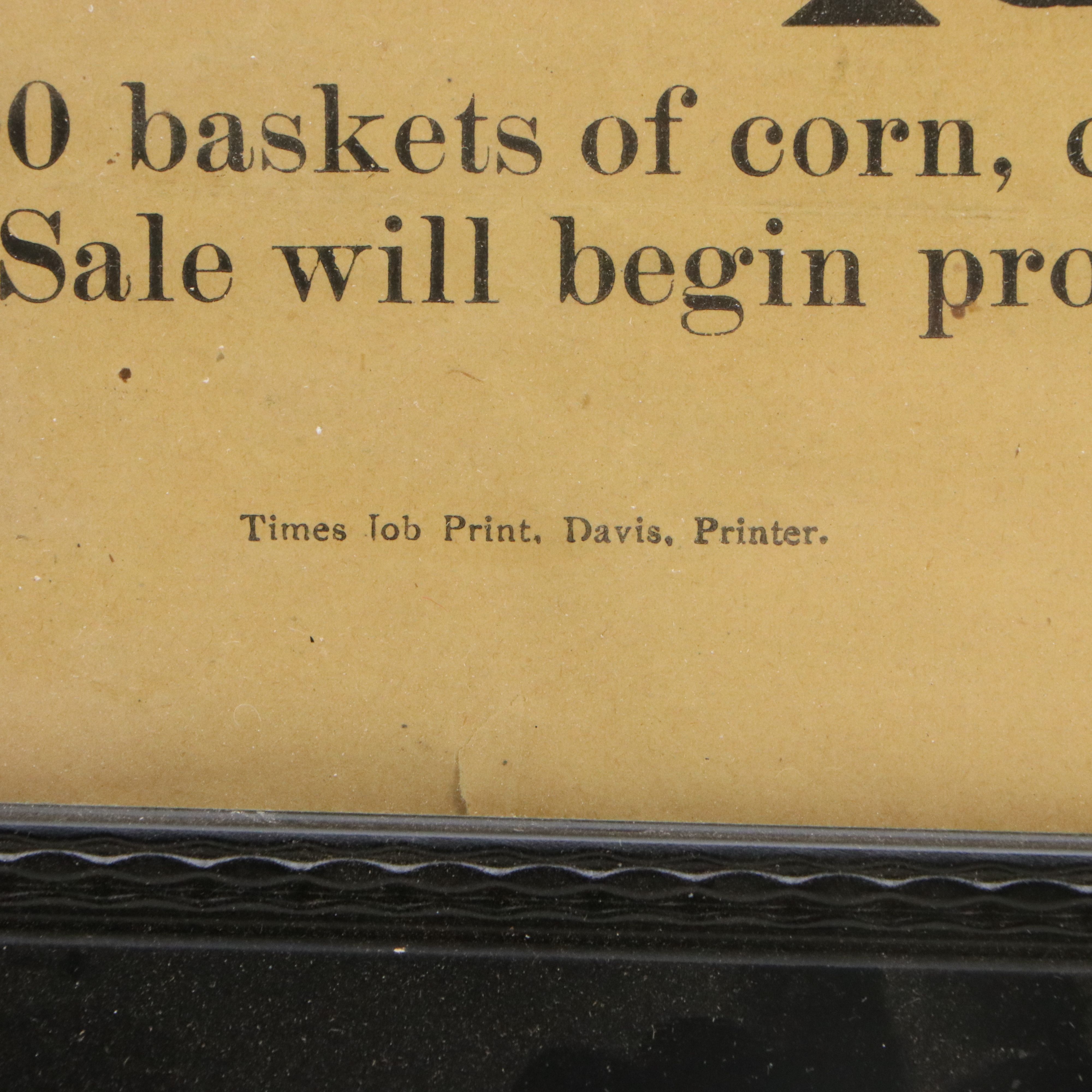 Late 19th Century Advertisement Posters for Auction and Excursion